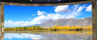 “海外客戶最關(guān)心的LED屏參數(shù):不是分辨率，而是這個..